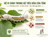 TRONG HỆ TIÊU HÓA CỦA TẰM CÓ NHỮNG LOẠI VI SINH NÀO?