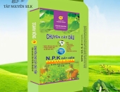 Những cách chăm bón nào giúp cho cây dâu đủ dinh dưỡng tốt cho tằm ?