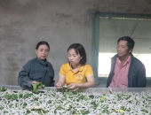 10 HIỂU LẦM LỚN NHẤT TRONG NGHỀ NUÔI TẰM