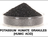 Khi bón phân Humic cho cây dâu có cần phải cách ly trước khi cho tằm ăn không ?