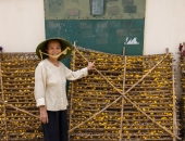 NGHỀ DÂU TẰM TƠ Ở VIỆT NAM HÌNH THÀNH NHƯ THẾ NÀO?