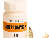KHI NÀO NÊN DÙNG STREPTOMYCIN CHO TẰM? KHI NÀO KHÔNG NÊN DÙNG?