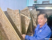 DÒNG TIỀN TRONG NGHỀ NUÔI TẰM VẬN HÀNH NHƯ THẾ NÀO?
