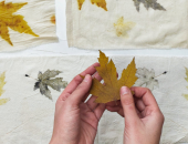 CÔNG NGHỆ NHUỘM LỤA BỀN VỮNG (ECO DYEING)