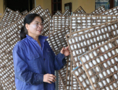 TẠI SAO CÓ NGƯỜI NUÔI TẰM LÀM GIÀU, CÓ NGƯỜI BỎ NGHỀ?