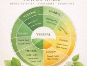 TÂY NGUYÊN SILK ÁP DỤNG “TEA TASTING GUIDE – FLAVOR & AROMA WHEEL” LÀM TIÊU CHUẨN