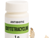 TÂY NGUYÊN SILK BỔ SUNG KHÁNG SINH OXYTETRACYCLINE VÀO QUY TRÌNH PHÒNG BỆNH VI KHUẨN CHO TẰM