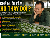 NGHỀ NUÔI TẰM CÓ PHẢI KHÓ THAY ĐỔI?