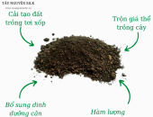 Phân hữu cơ ủ hoai vi sinh là gì, có cần phải cách ly khi nuôi tằm?
