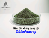 Nấm Tricoderma có mang lại lợi ích tốt cho cây dâu và sức khoẻ của tằm?