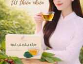 AI KHÔNG NÊN UỐNG TRÀ LÁ DÂU?