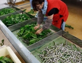 CÓ PHẢI CỨ SÁT TRÙNG MẠNH LÀ NHÀ TẰM SẼ SẠCH?