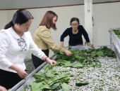 SOP NHÀ TẰM LÀ GÌ VÀ VÌ SAO NHÀ TẰM HIỆN ĐẠI CẦN SOP?