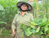 BÀI TOÁN NHÂN CÔNG TRONG NGHỀ NUÔI TẰM HIỆN ĐẠI